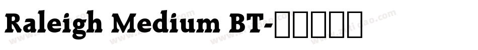 Raleigh Medium BT字体转换